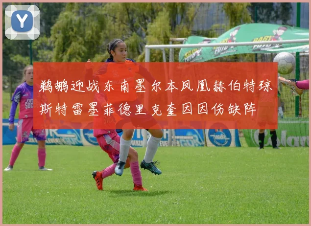 鹈鹕迎战东南墨尔本凤凰赫伯特琼斯特雷墨菲德里克奎因因伤缺阵