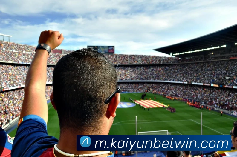 开云体育平台生态图